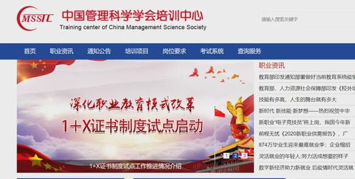 跨界融合 從心理危機(jī)干預(yù)指導(dǎo)師到軟件開發(fā)的學(xué)習(xí)之旅